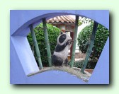 [Klik om een grote afbeelding te zien]